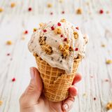 Hokey Pokey Ice Cream-1