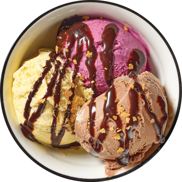 Ice cream maker