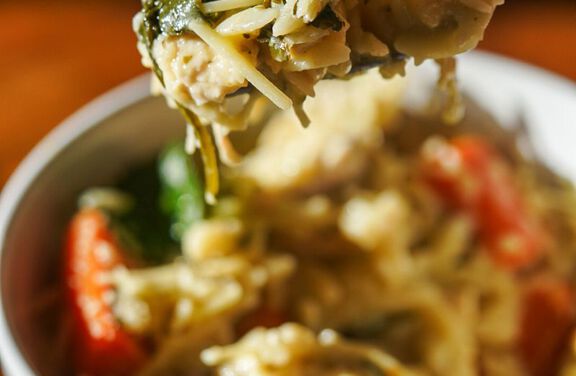 Slow Cooker Chicken Orzo Soup