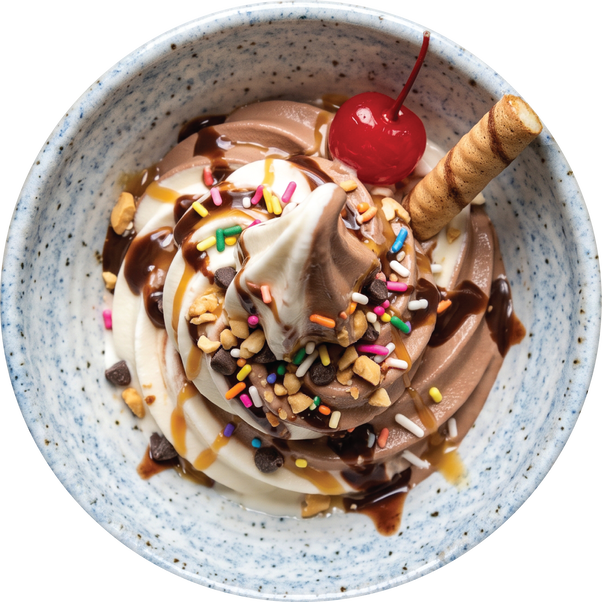 ice cream maker