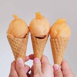 Rockmelon Ice Cream-1