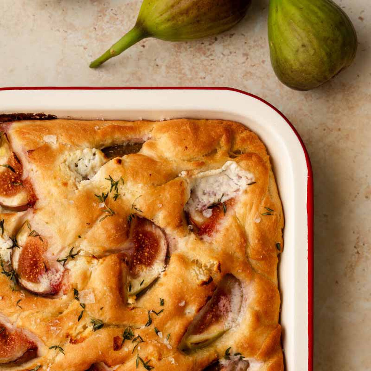 Fig-Caccia-1