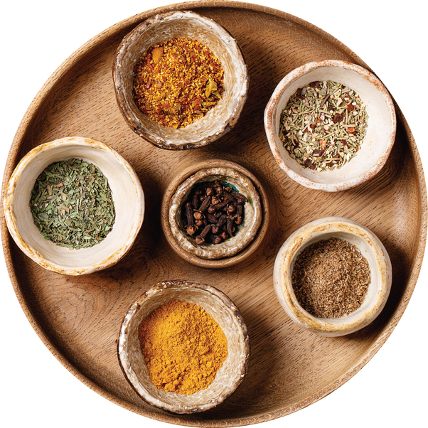spice and nut grinder